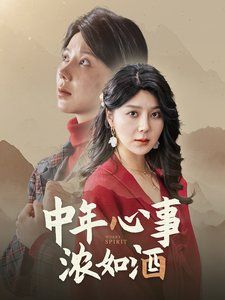 《中年心事浓如酒》海报