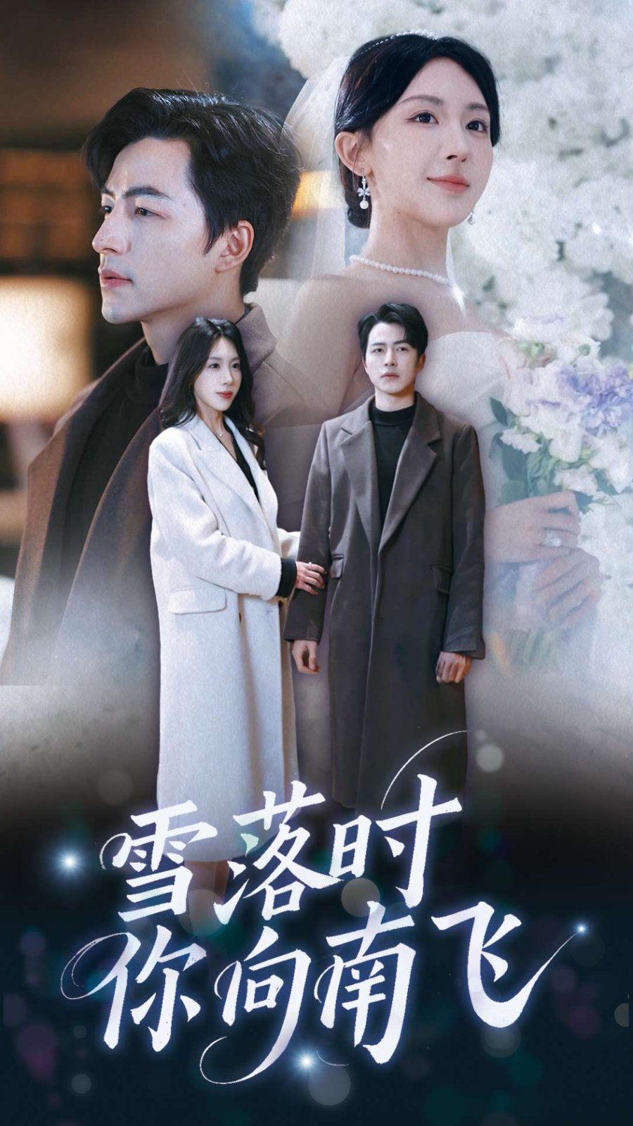 《雪落时你向南飞》海报