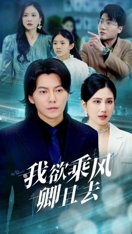 《我欲乘风卿且去》海报