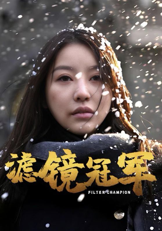 《滤镜冠军》海报