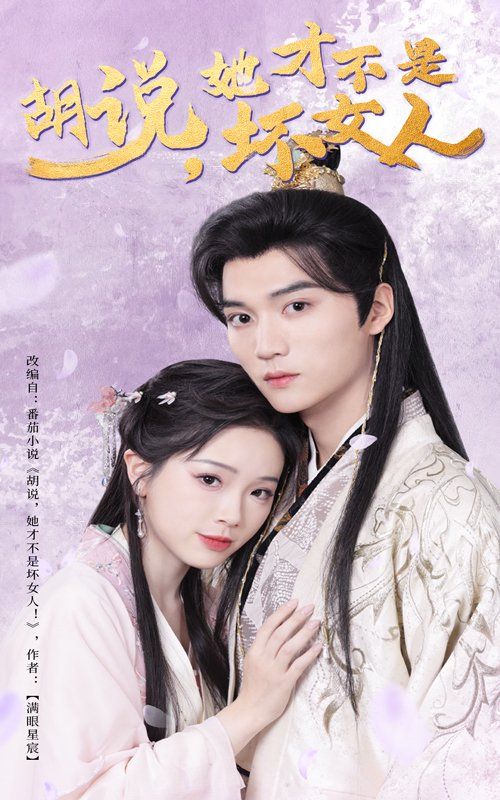 《胡说她才不是坏女人》海报