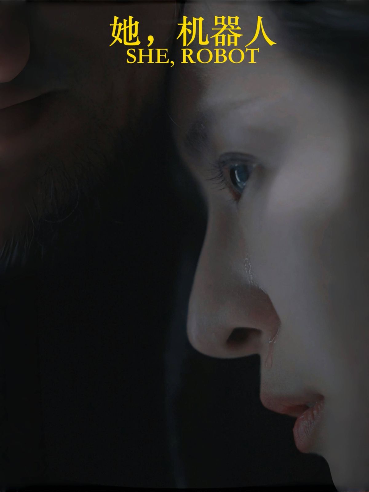 《她，机器人（她机器人）》海报
