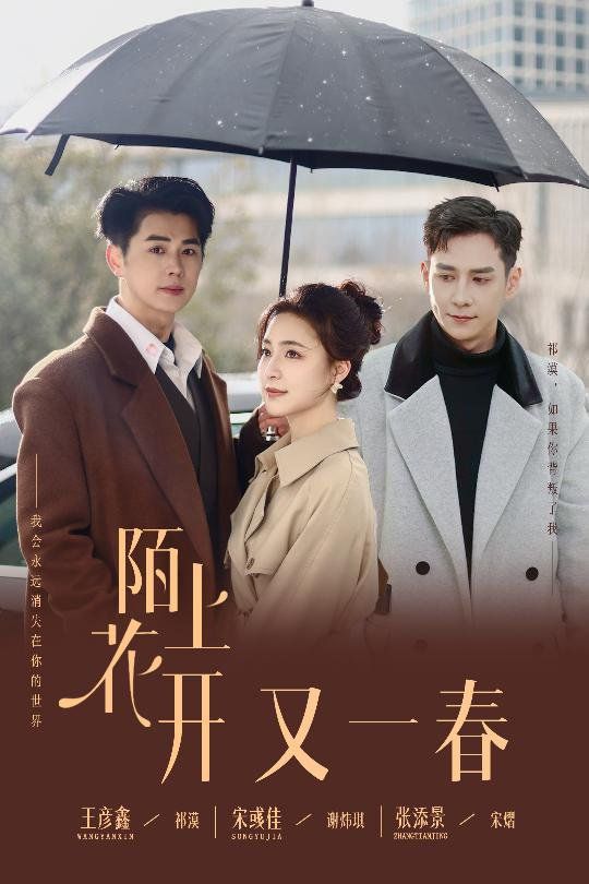《陌上花开又一春》海报