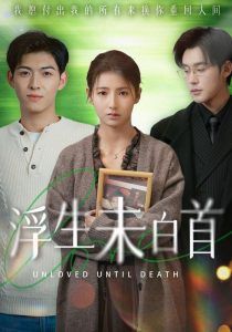 《浮生未白首》海报