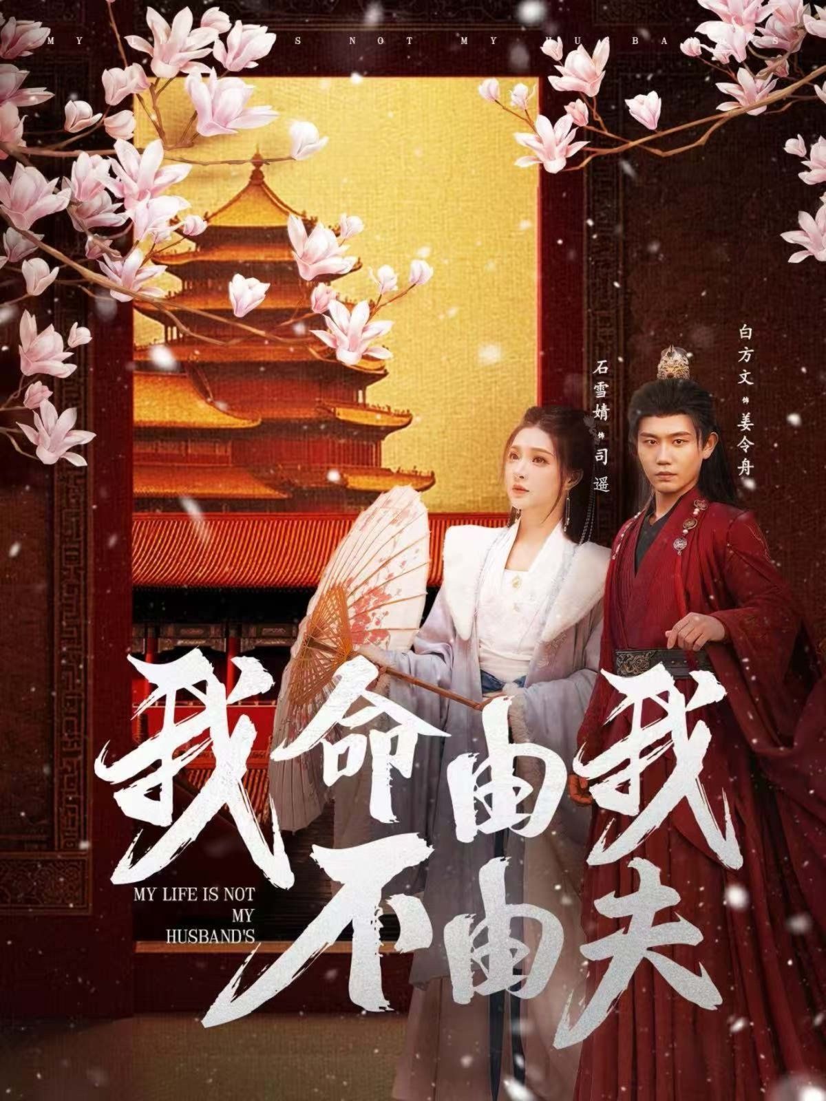 《我命由我不由夫》海报