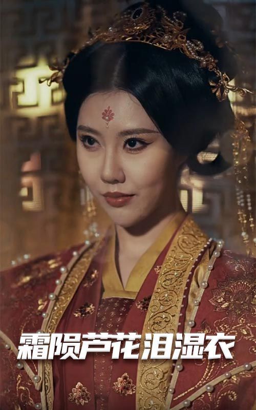 《母剑照霜白（霜陨芦花泪湿衣）》海报