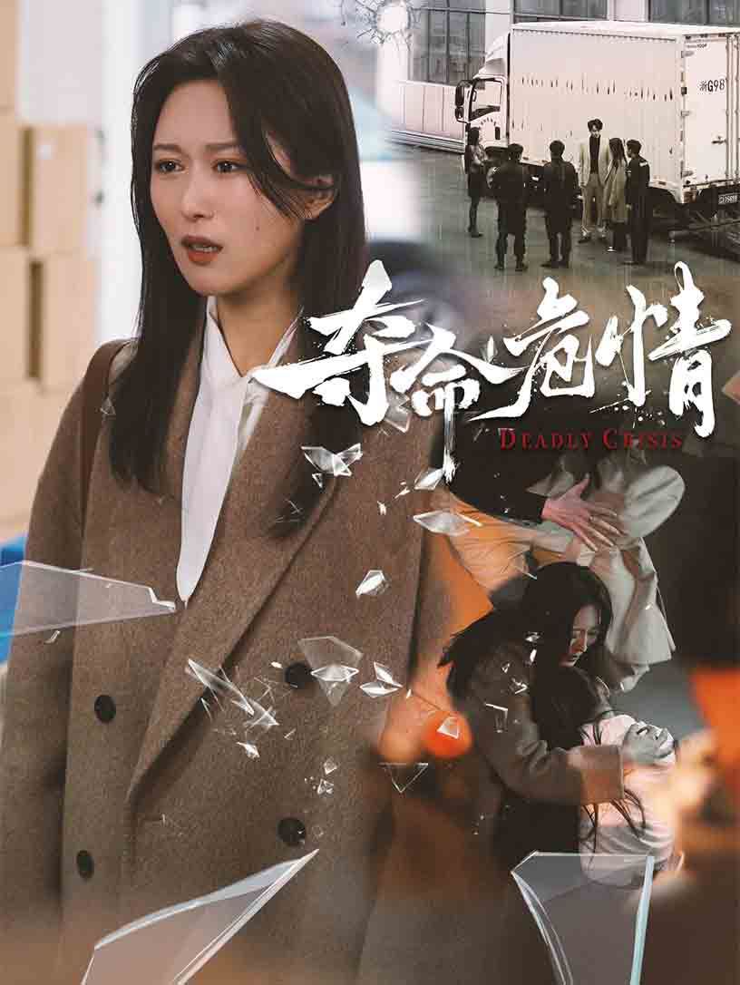 《夺命危情》海报