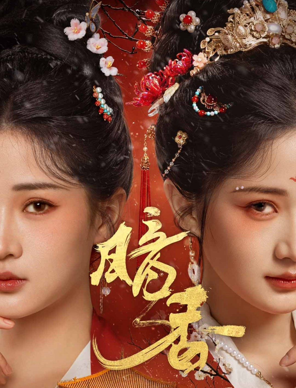 《暗香》海报