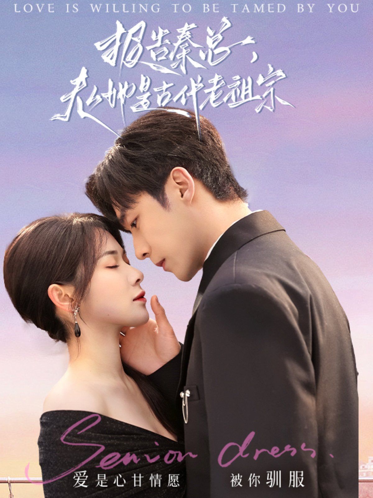 《报告秦总，夫人她是古代老祖宗》海报