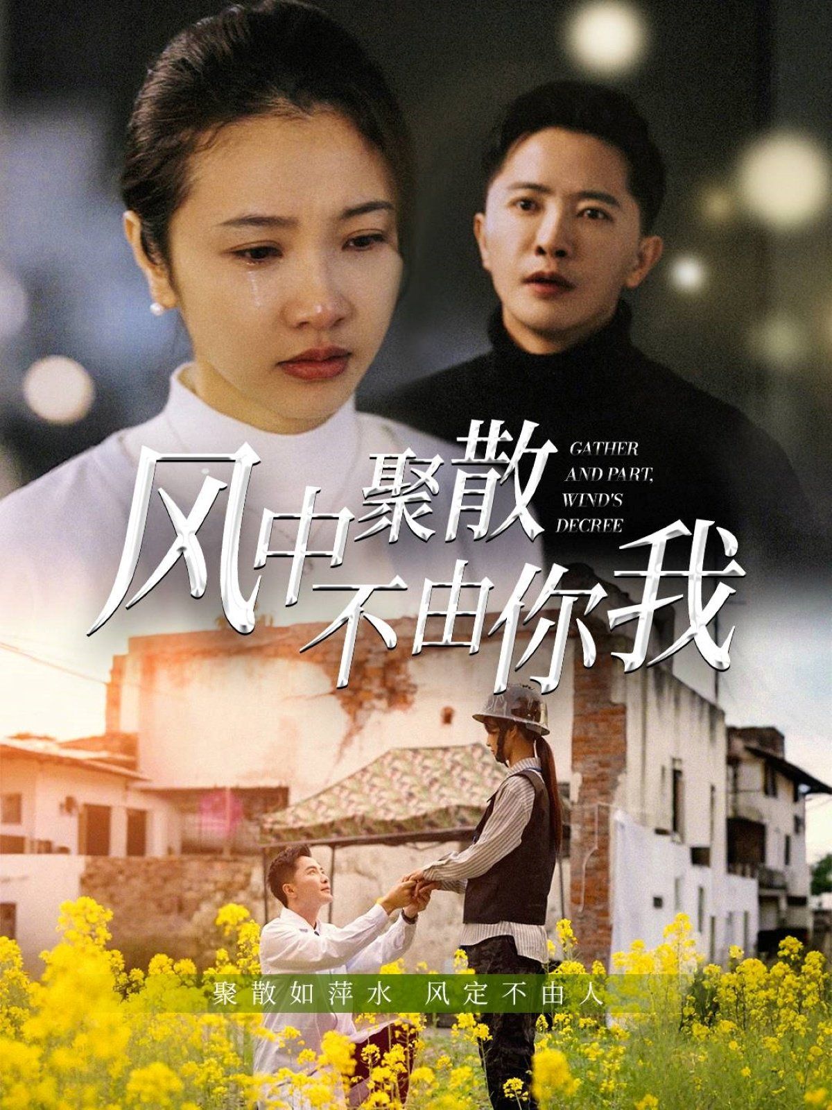 《风中聚散不由你我》海报