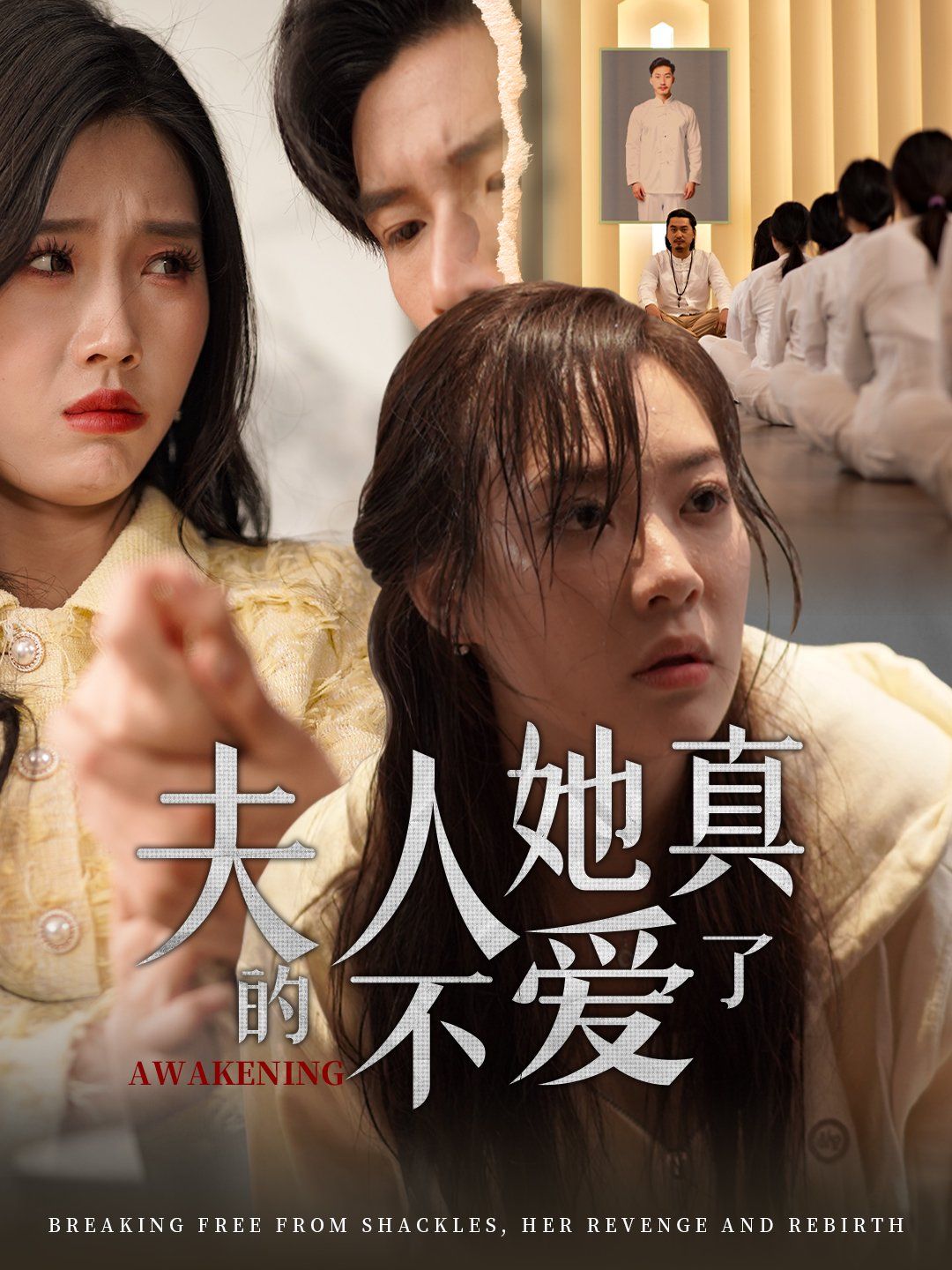 《夫人她真的不爱了》海报