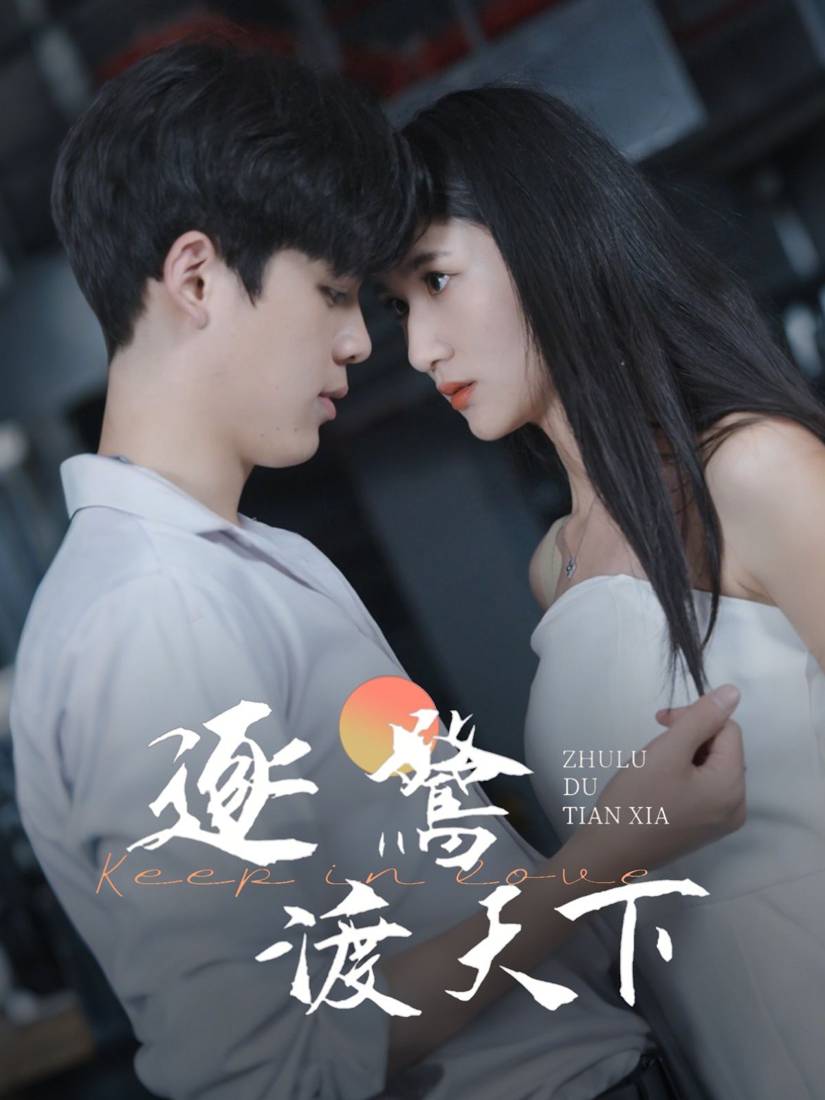 《逐鹭渡天下》海报