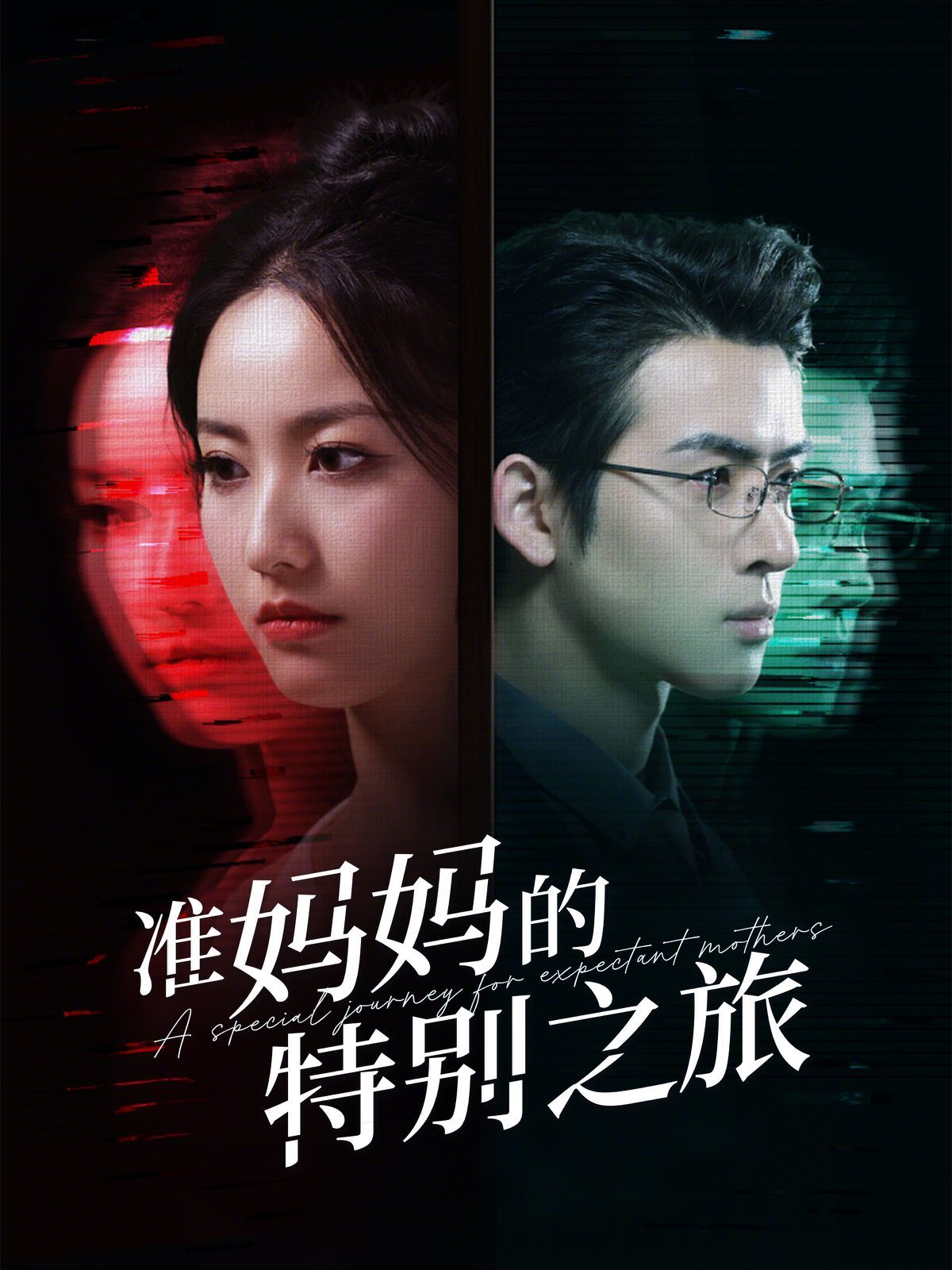 《准妈妈的特别之旅》海报