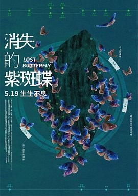 《消失的紫斑蝶》海报
