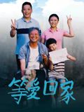 《等爱回家》海报