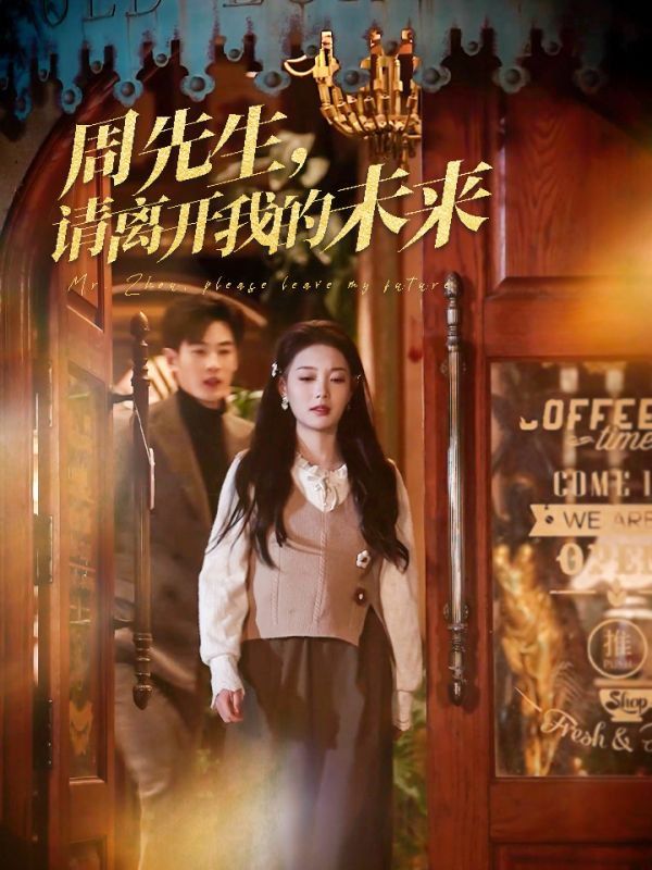 《周先生，请离开我的未来》海报