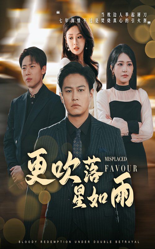 《更吹落星如雨》海报