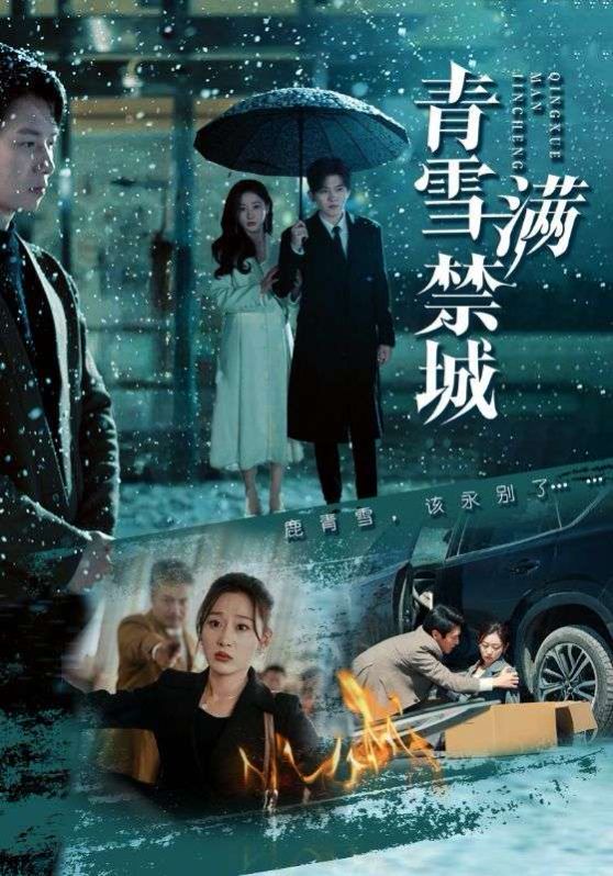《青雪满禁城》海报