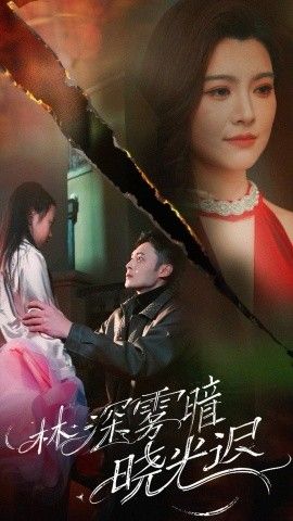 《林深雾暗晓光迟》海报