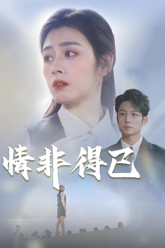 《情非得已》海报