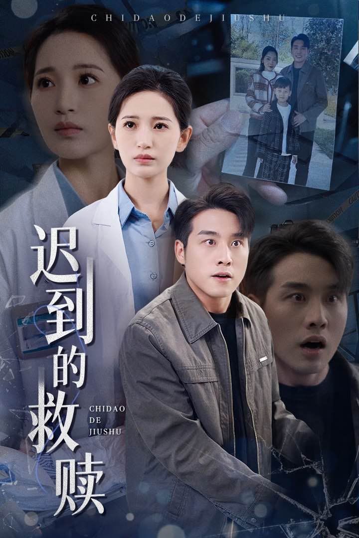 《迟到的救赎》海报