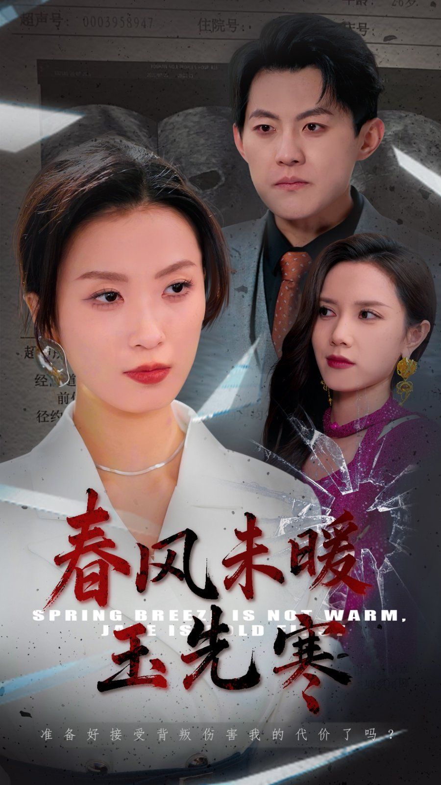 《春风未暖玉先寒》海报