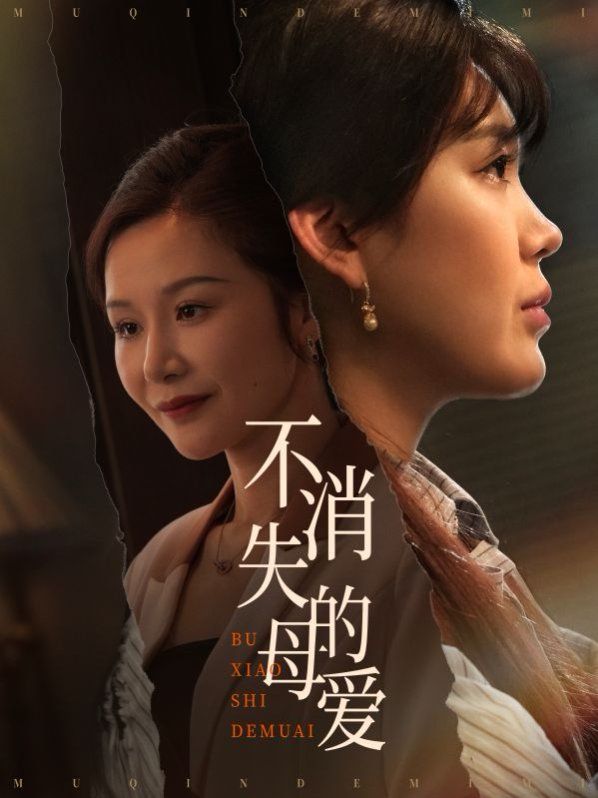 《不消失的母爱》海报