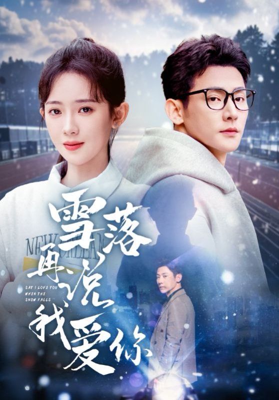 《雪落再说我爱你》海报