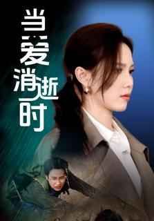《当爱消逝时》海报