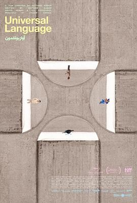 《共同的语言》海报
