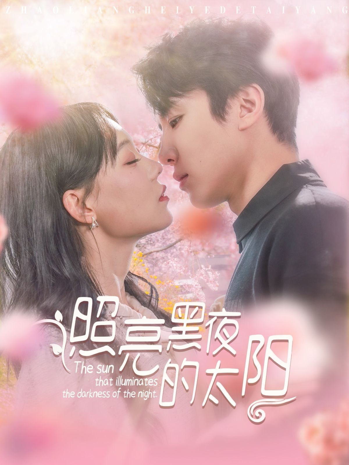 《照亮黑夜的太阳》海报