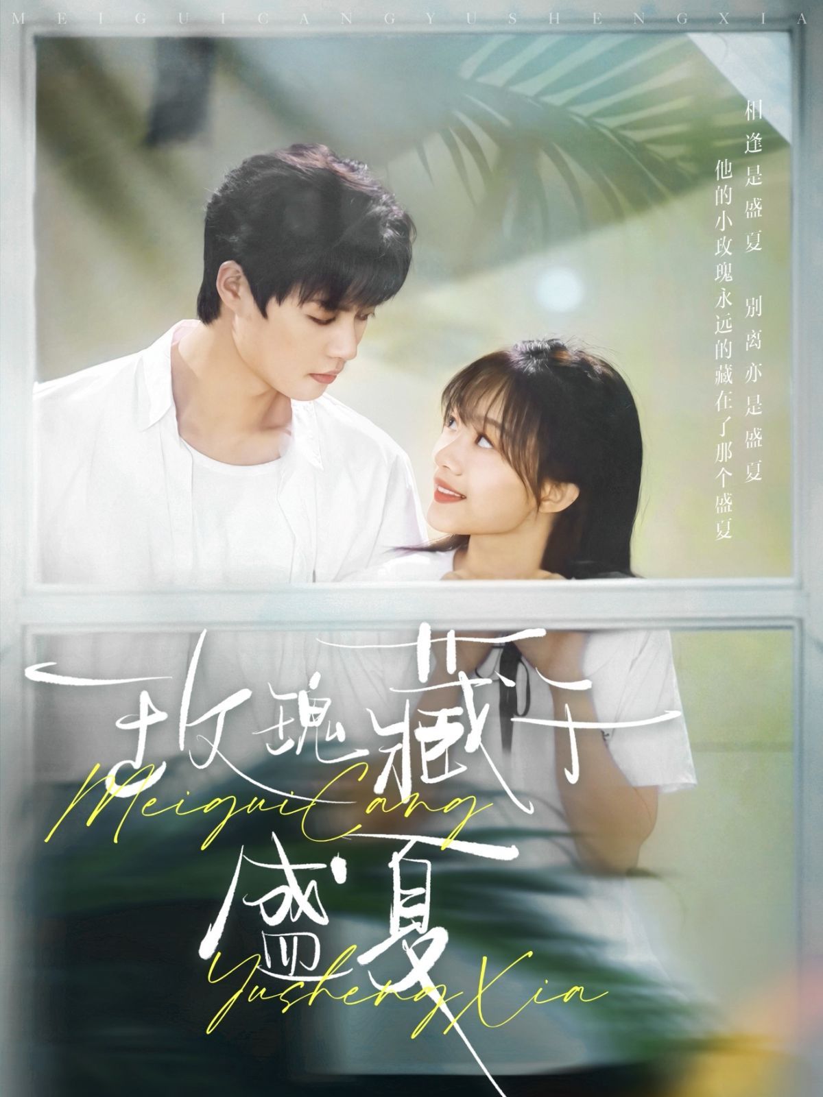 《玫瑰藏于盛夏》海报