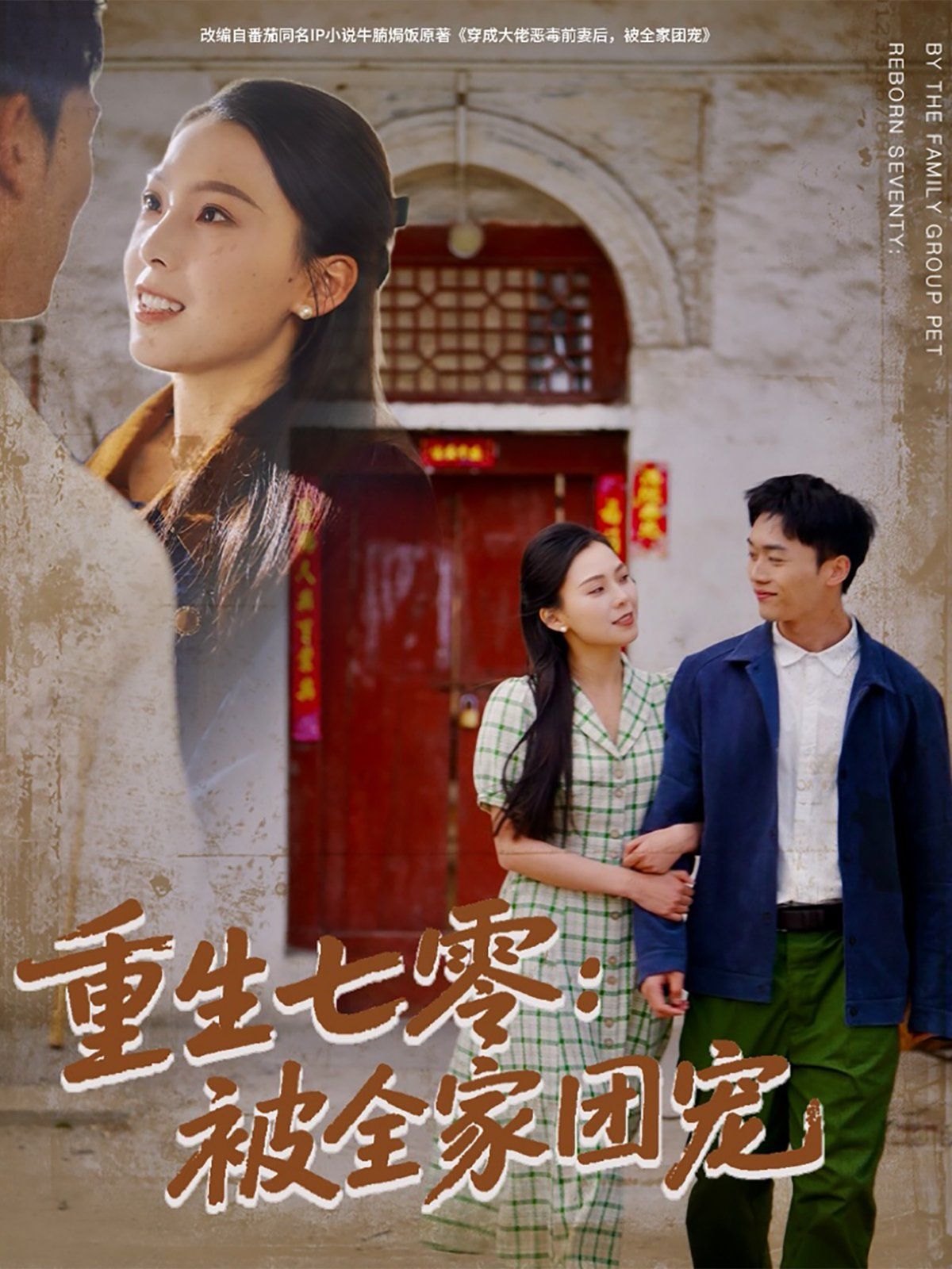 《重生七零：被全家团宠》海报