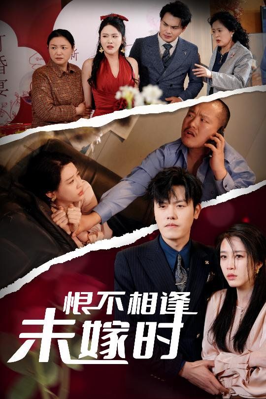 《恨不相逢未嫁时》海报
