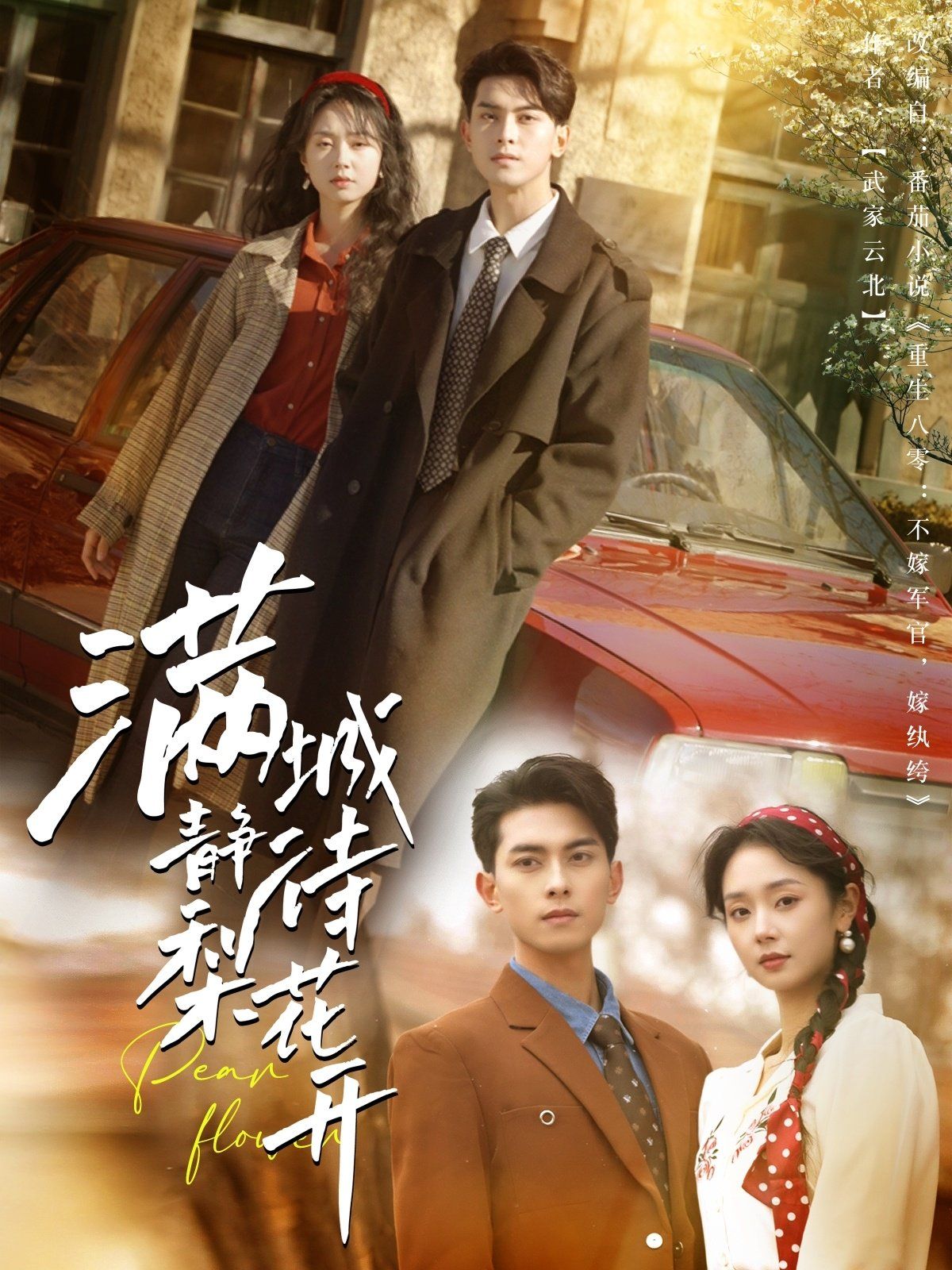 《满城静待梨花开》海报