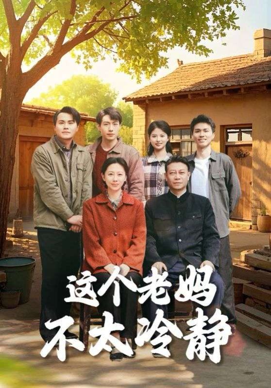 《这个老妈不太冷静》海报