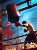 《我是拳手》海报
