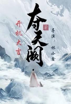 《夺天阙》海报