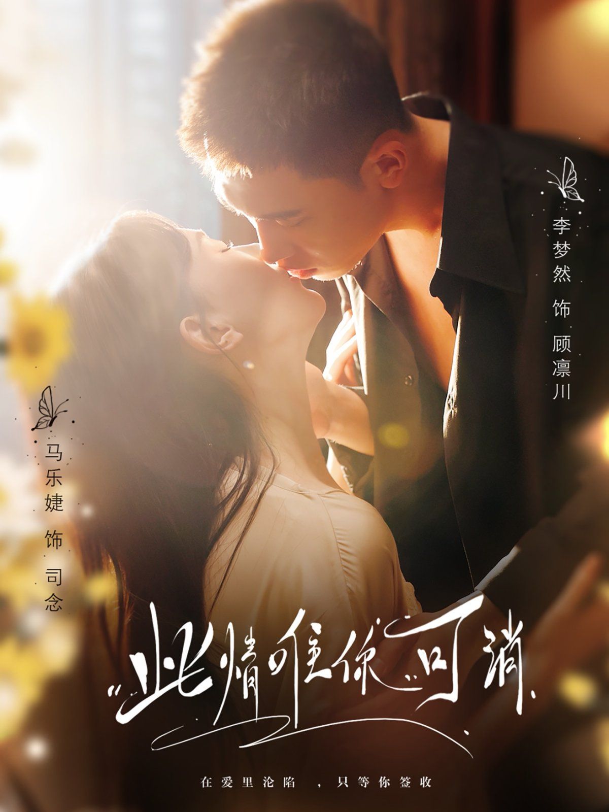 《此情唯你可消》海报