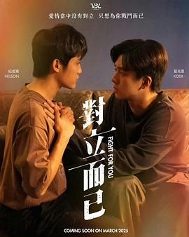 《对立而已》海报
