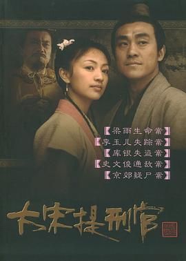 《大宋提刑官》海报
