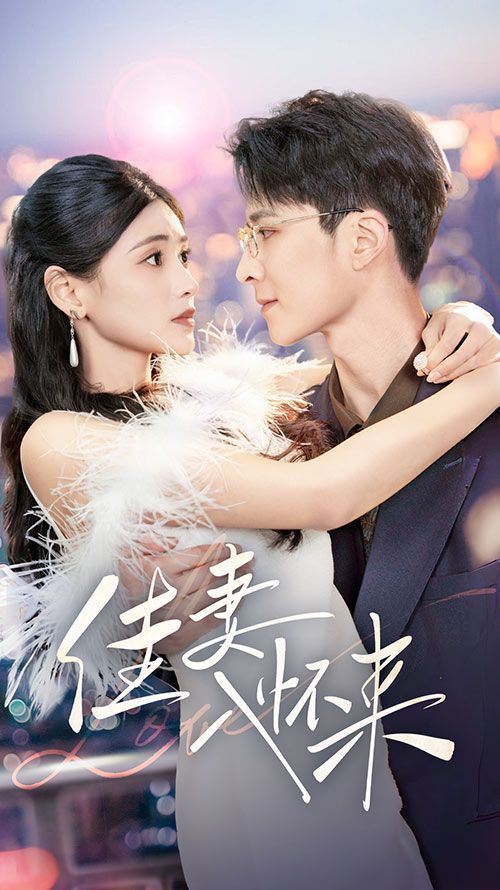 《佳妻入怀来》海报