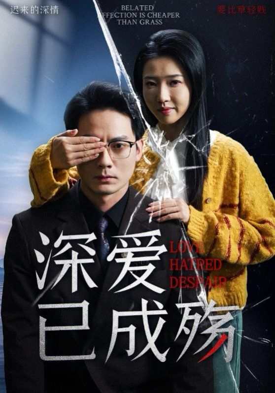 《深爱已成殇》海报