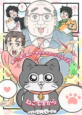 《转生成猫的大叔》海报