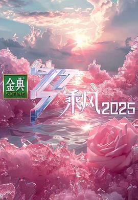 《乘风2025》海报