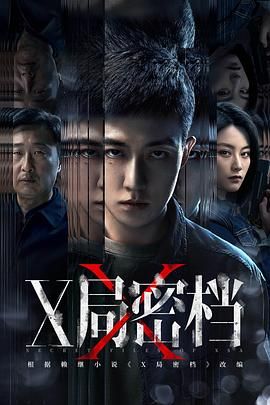 《X局密档》海报