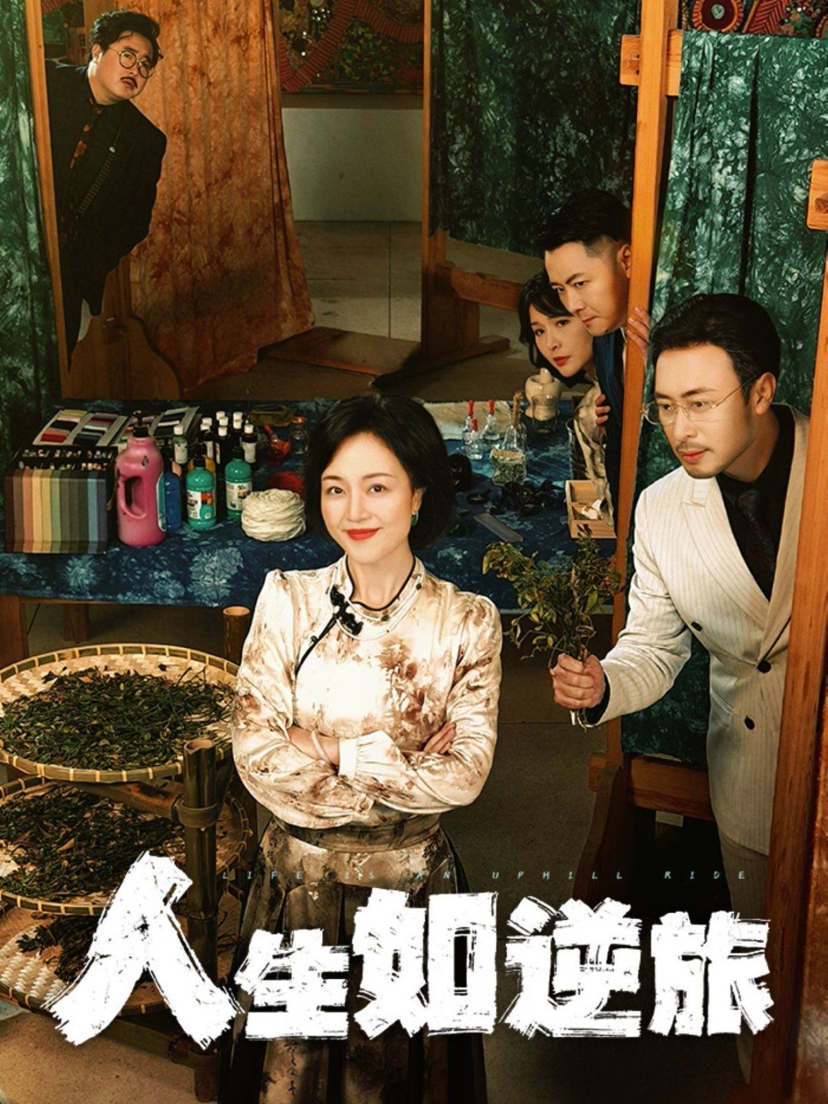 《人生如逆旅》海报