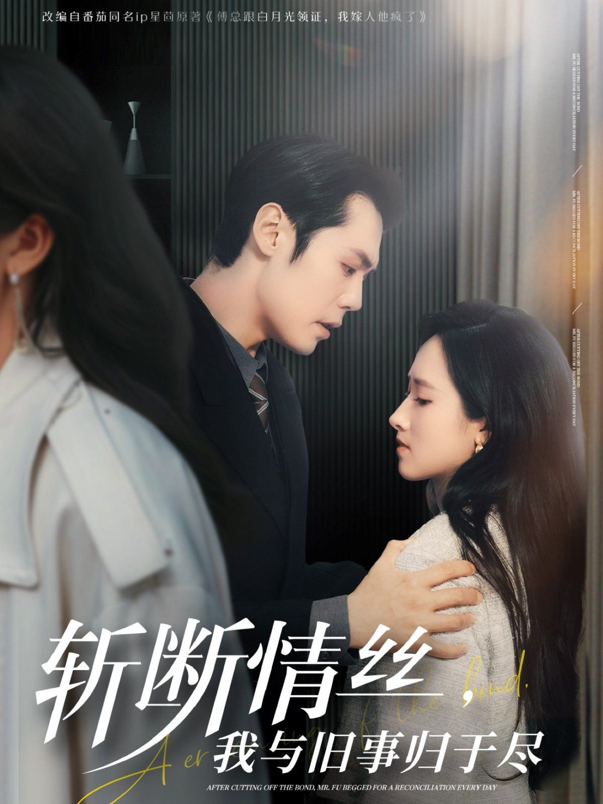《斩断情丝我与旧事归于尽》海报