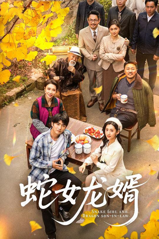 《蛇女龙婿（不负韶华不负卿）》海报