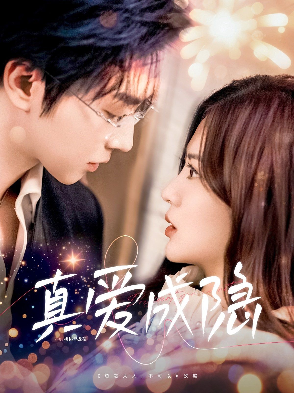《真爱成隐》海报